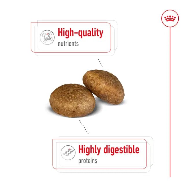 Royal Canin Maxi Adult Dry Dog Food - 15kg - Pet Supply